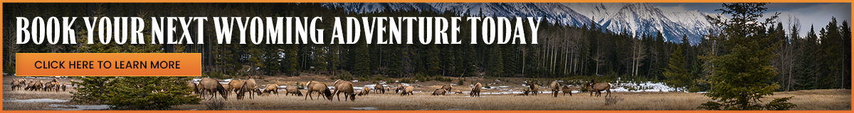 Book Your Next Hunting Trip