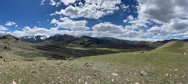 How We Scout for Elk and Deer During Summer