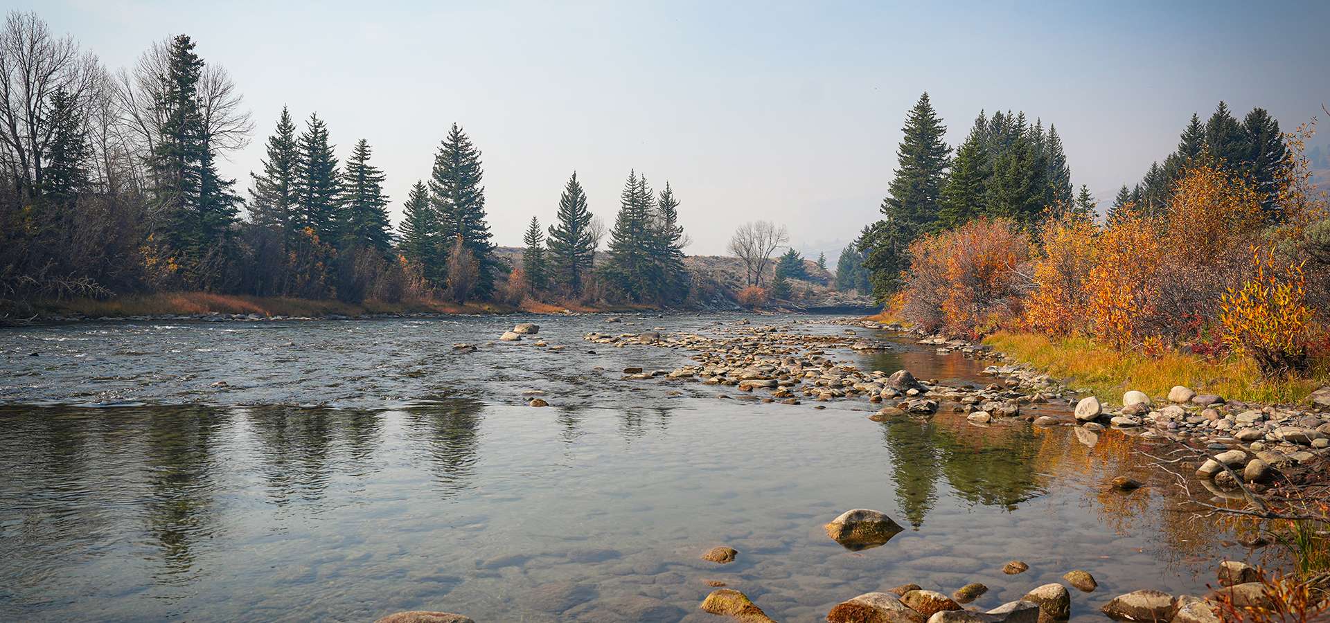 Contact Mountain Ivory Adventures