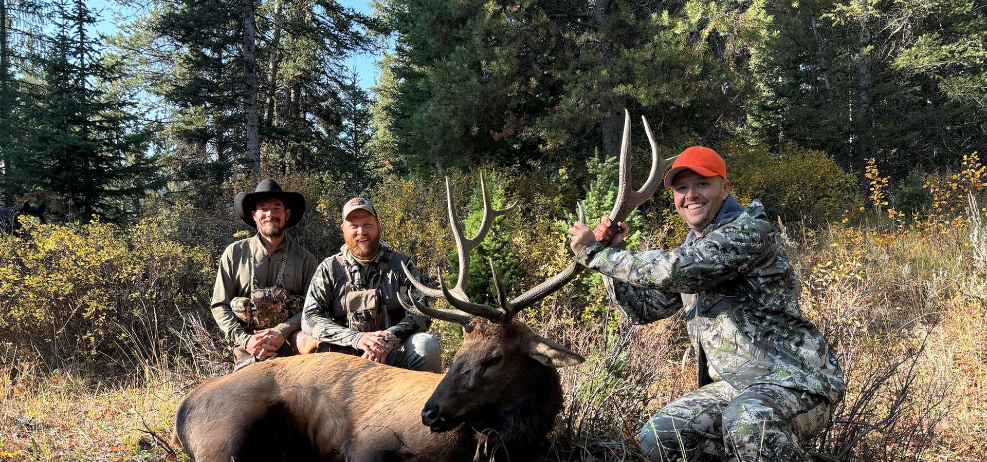 Wyoming Elk Hunts