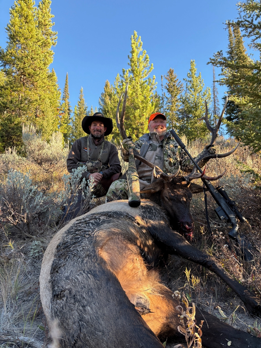 Fair-Chase Elk Hunting