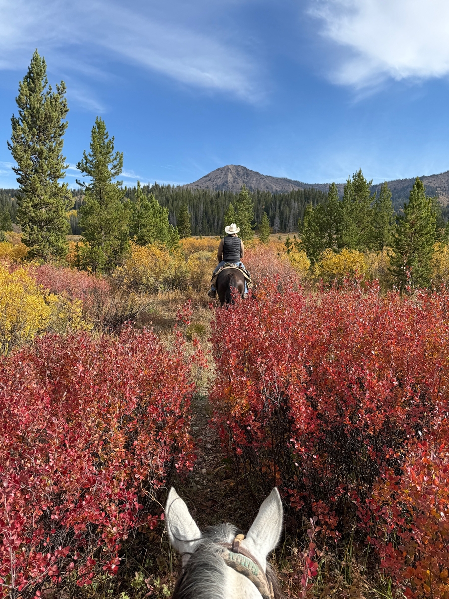 Hunting Style & Guide Ratio