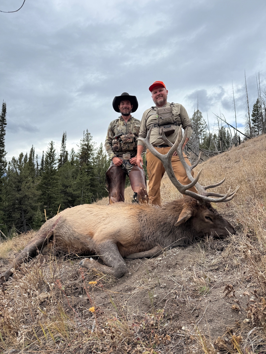 Rifle & Archery Elk Hunts