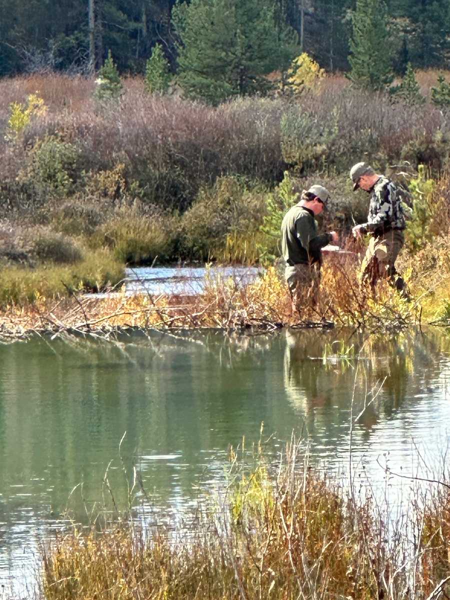 fishing