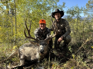 Mule Deer
